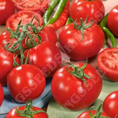 Picture of Tomato Alicante